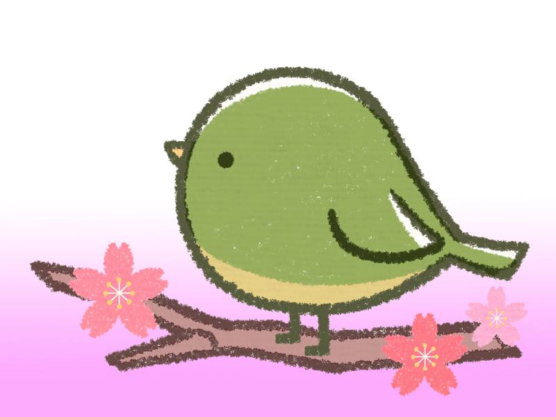 桜の木にとまる鳥