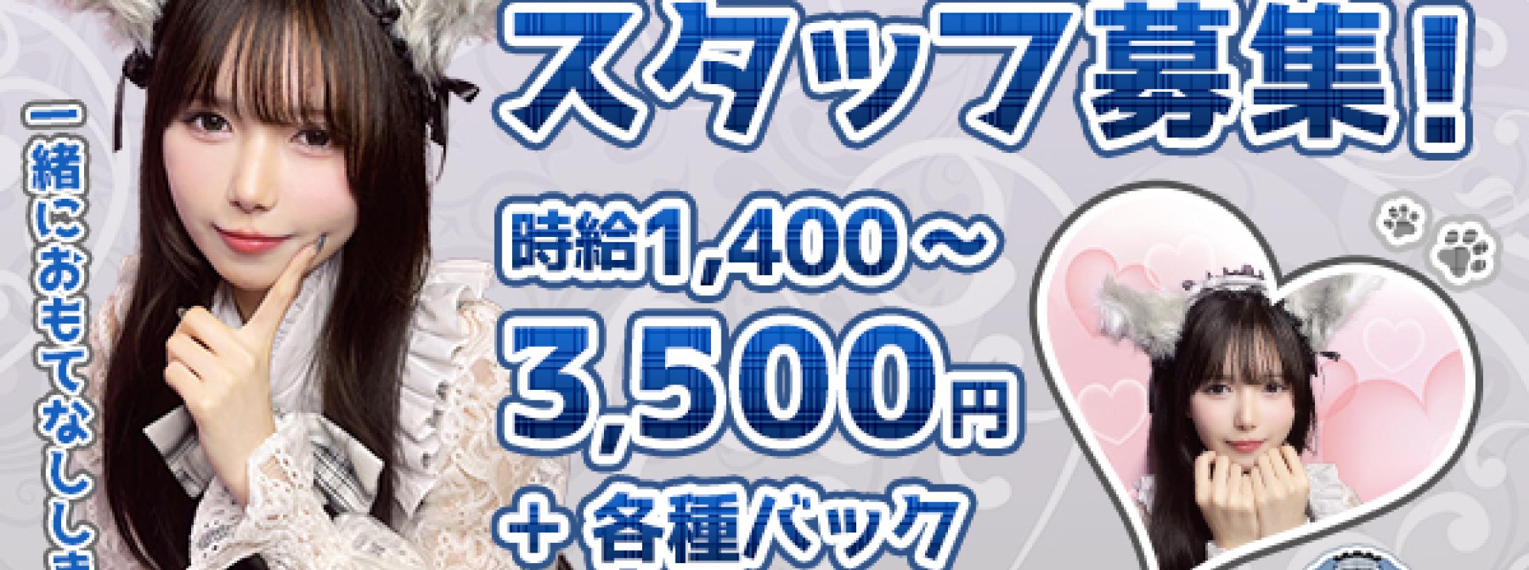 Cafe＆Bar けもみみ