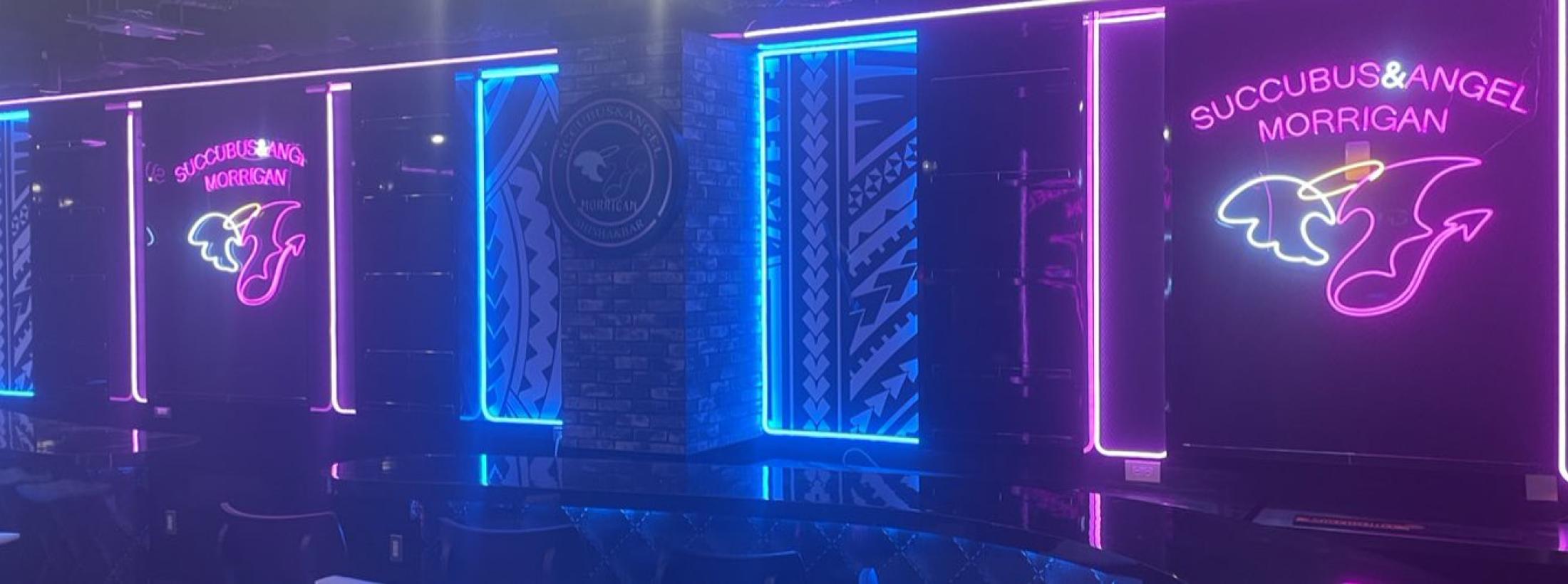 Succubus&Angel MORRIGAN