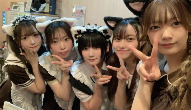 にゃんこメイドカフェの求人画像