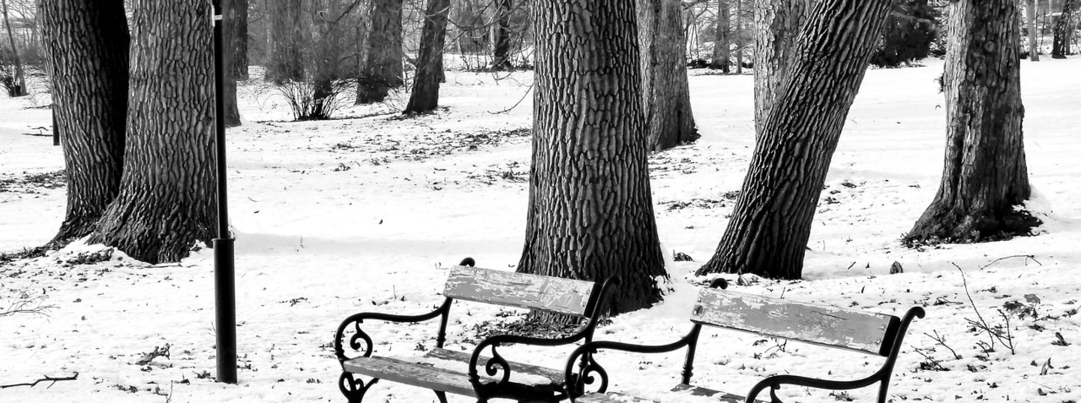 天使のわけまえ