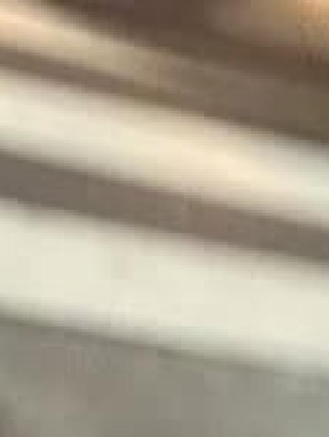 ぱぴぷぺぽ