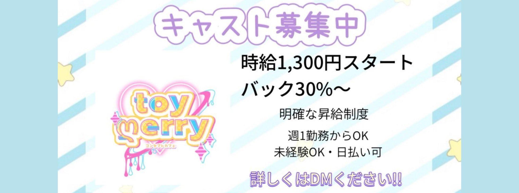 toymerry
