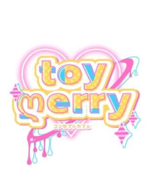 toymerry