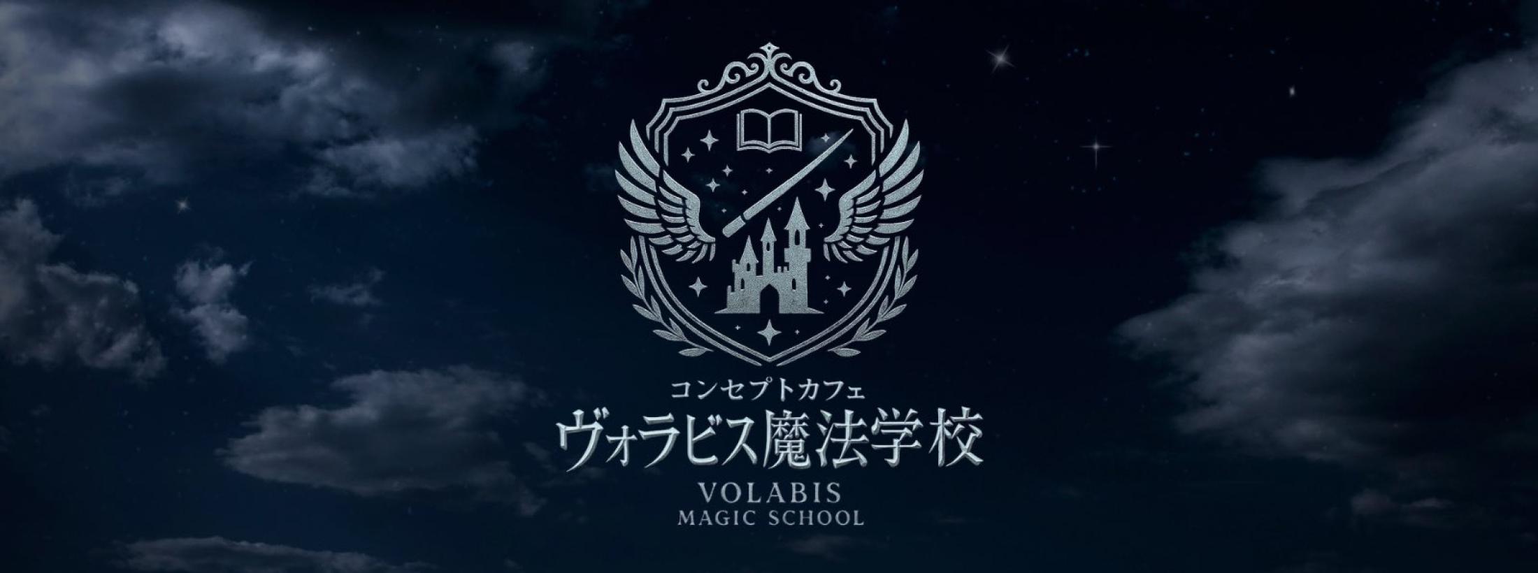 ヴォラビス魔法学校