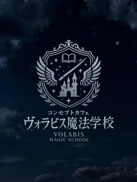 ヴォラビス魔法学校