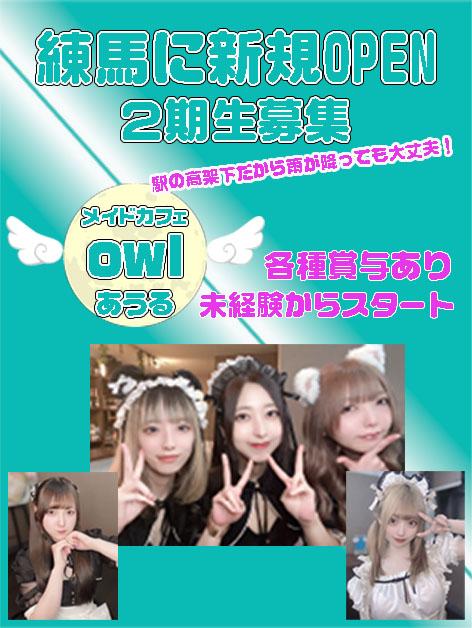 めいどかふぇOwl-あうる-
