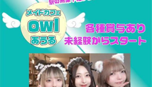 めいどかふぇOwl-あうる-