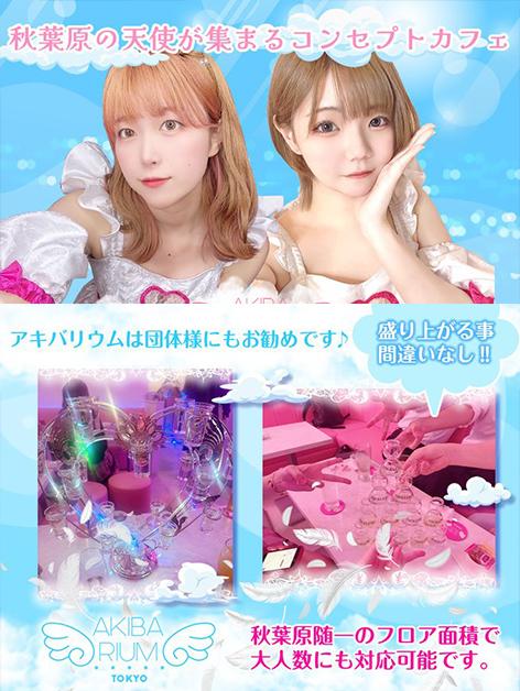 アキバリウム
